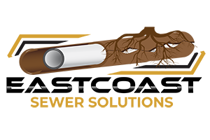 https://pinnacletrenchless.com/wp-content/uploads/2023/04/Eastcoastsewersolutions-logo.png